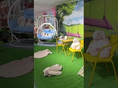 PPの綿のマスコットはおもちゃの柔らかく大きいDinasourのおもちゃ31 x 39cmを詰めた